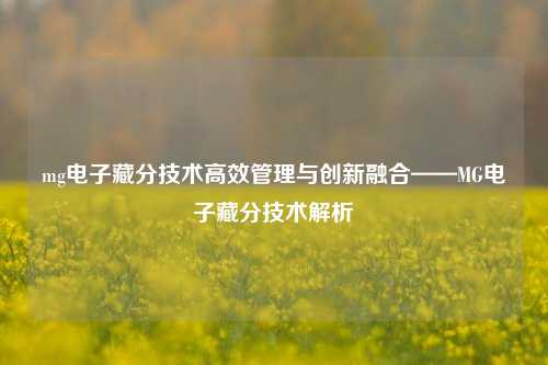 mg电子藏分技术高效管理与创新融合——MG电子藏分技术解析