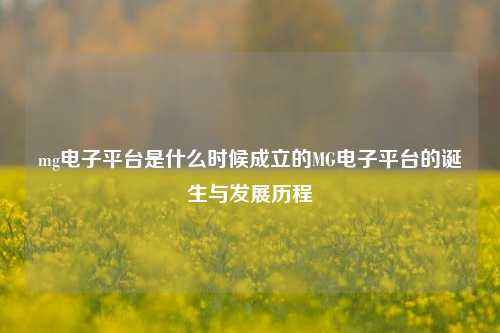 mg电子平台是什么时候成立的MG电子平台的诞生与发展历程