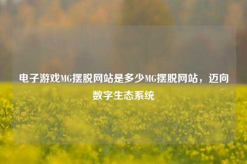 电子游戏MG摆脱网站是多少MG摆脱网站，迈向数字生态系统