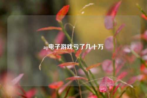 ag电子游戏亏了几十万