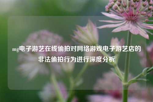 mg电子游艺在线偷拍对网络游戏电子游艺店的非法偷拍行为进行深度分析