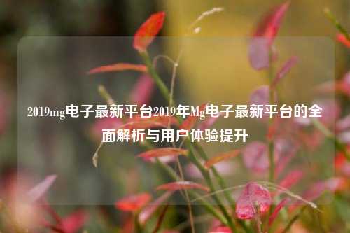 2019mg电子最新平台2019年Mg电子最新平台的全面解析与用户体验提升