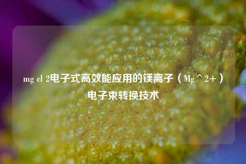 mg cl 2电子式高效能应用的镁离子（Mg^2+）电子束转换技术