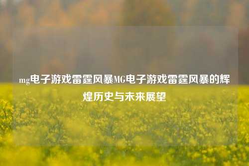 mg电子游戏雷霆风暴MG电子游戏雷霆风暴的辉煌历史与未来展望