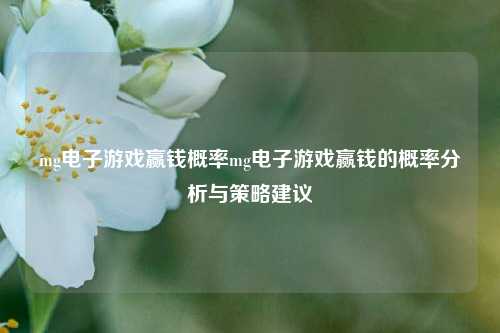 mg电子游戏赢钱概率mg电子游戏赢钱的概率分析与策略建议