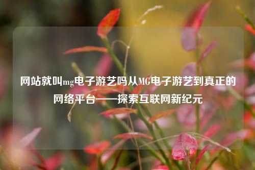 网站就叫mg电子游艺吗从MG电子游艺到真正的网络平台——探索互联网新纪元