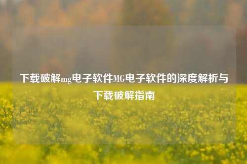 下载破解mg电子软件MG电子软件的深度解析与下载破解指南
