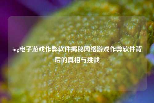 mg电子游戏作弊软件揭秘网络游戏作弊软件背后的真相与挑战
