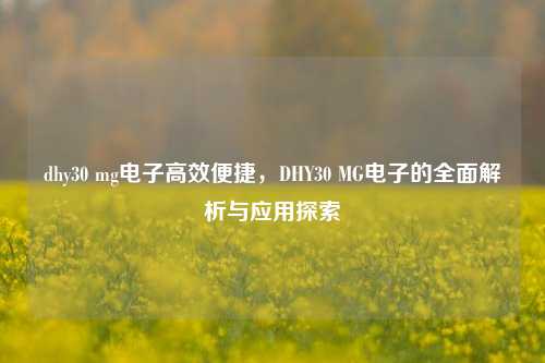 dhy30 mg电子高效便捷，DHY30 MG电子的全面解析与应用探索