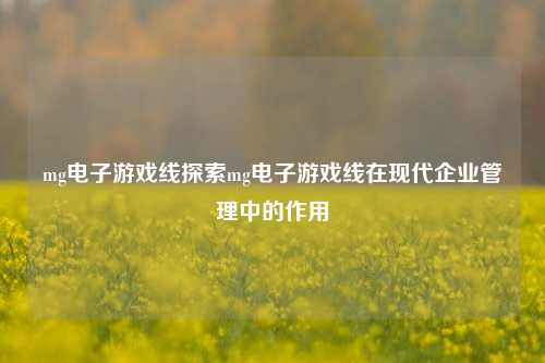 mg电子游戏线探索mg电子游戏线在现代企业管理中的作用