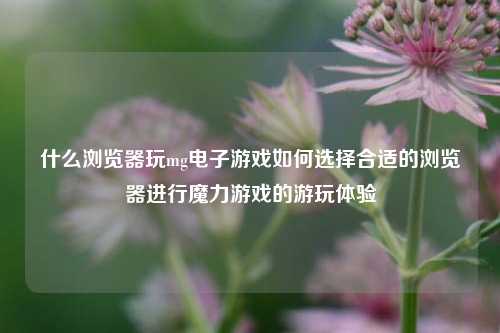 什么浏览器玩mg电子游戏如何选择合适的浏览器进行魔力游戏的游玩体验