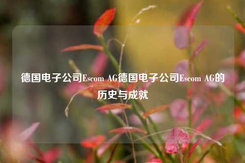 德国电子公司Escom AG德国电子公司Escom AG的历史与成就