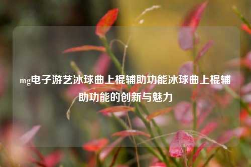 mg电子游艺冰球曲上棍辅助功能冰球曲上棍辅助功能的创新与魅力