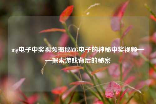 mg电子中奖视频揭秘MG电子的神秘中奖视频——探索游戏背后的秘密