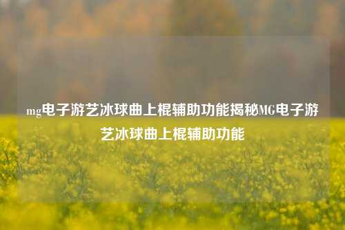 mg电子游艺冰球曲上棍辅助功能揭秘MG电子游艺冰球曲上棍辅助功能