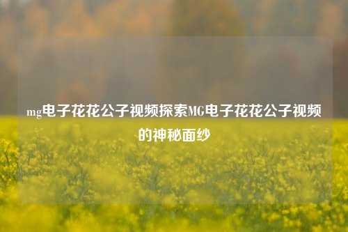 mg电子花花公子视频探索MG电子花花公子视频的神秘面纱