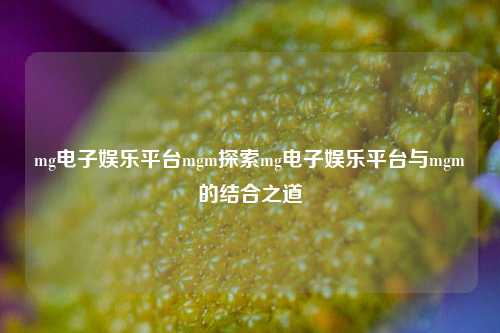 mg电子娱乐平台mgm探索mg电子娱乐平台与mgm的结合之道