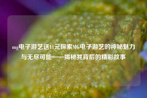 mg电子游艺送11元探索MG电子游艺的神秘魅力与无尽可能——揭秘其背后的精彩故事