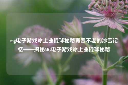mg电子游戏冰上曲棍球秘籍青春不老的冰雪记忆——揭秘MG电子游戏冰上曲棍球秘籍