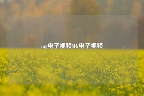 mg电子视频MG电子视频