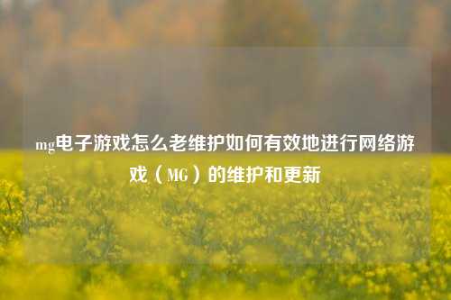 mg电子游戏怎么老维护如何有效地进行网络游戏（MG）的维护和更新