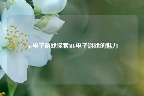 mg电子游戏探索MG电子游戏的魅力