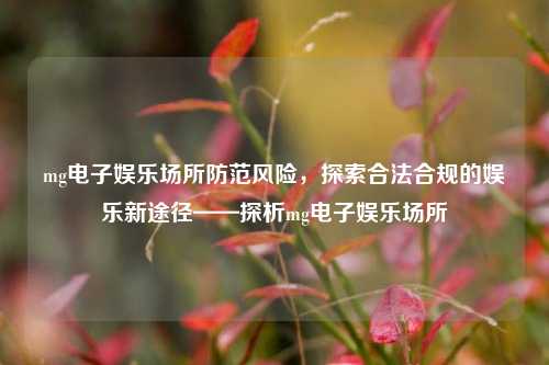 mg电子娱乐场所防范风险，探索合法合规的娱乐新途径——探析mg电子娱乐场所
