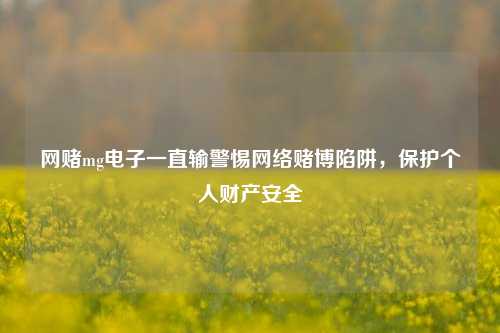 网赌mg电子一直输警惕网络赌博陷阱，保护个人财产安全
