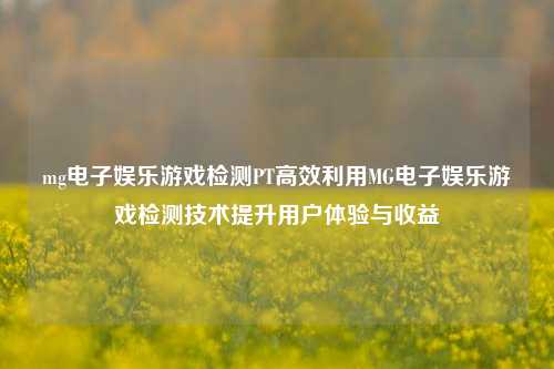 mg电子娱乐游戏检测PT高效利用MG电子娱乐游戏检测技术提升用户体验与收益