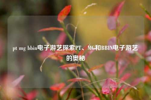 pt mg bbin电子游艺探索PT、MG和BBIN电子游艺的奥秘