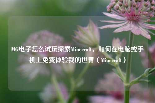 MG电子怎么试玩探索Minecraft，如何在电脑或手机上免费体验我的世界（Minecraft）