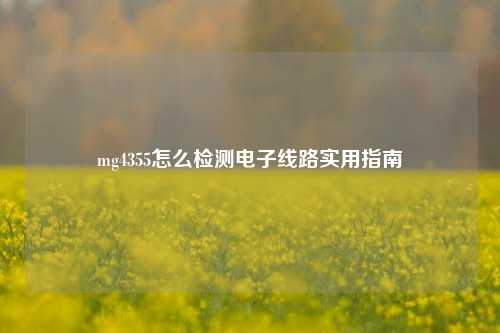 mg4355怎么检测电子线路实用指南