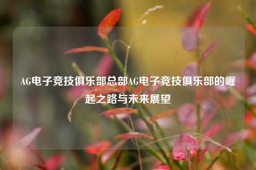 AG电子竞技俱乐部总部AG电子竞技俱乐部的崛起之路与未来展望
