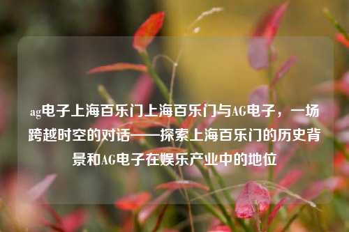 ag电子上海百乐门上海百乐门与AG电子，一场跨越时空的对话——探索上海百乐门的历史背景和AG电子在娱乐产业中的地位