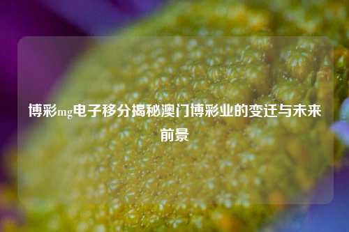 博彩mg电子移分揭秘澳门博彩业的变迁与未来前景