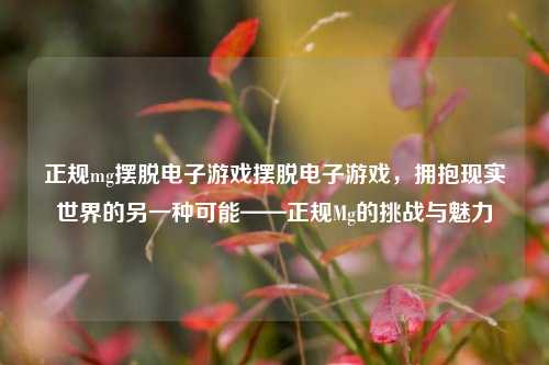 正规mg摆脱电子游戏摆脱电子游戏，拥抱现实世界的另一种可能——正规Mg的挑战与魅力