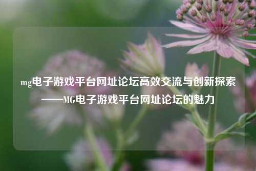 mg电子游戏平台网址论坛高效交流与创新探索——MG电子游戏平台网址论坛的魅力