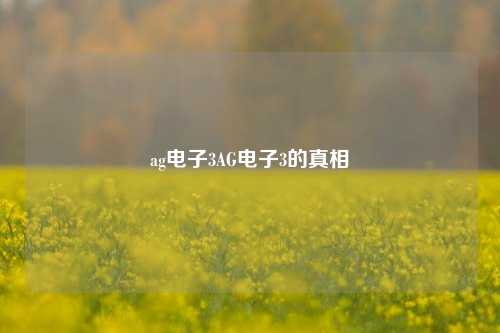 ag电子3AG电子3的真相