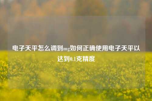 电子天平怎么调到mg如何正确使用电子天平以达到0.1克精度