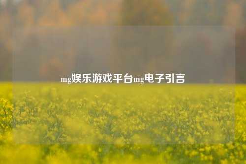 mg娱乐游戏平台mg电子引言