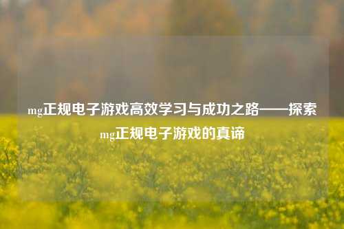 mg正规电子游戏高效学习与成功之路——探索mg正规电子游戏的真谛