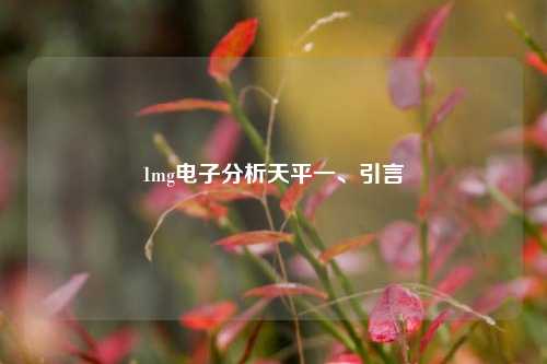 1mg电子分析天平一、引言