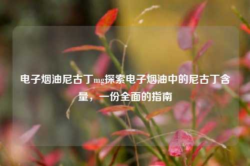 电子烟油尼古丁mg探索电子烟油中的尼古丁含量，一份全面的指南