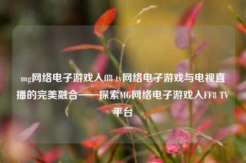 mg网络电子游戏入ff8 tv网络电子游戏与电视直播的完美融合——探索MG网络电子游戏入FF8 TV平台