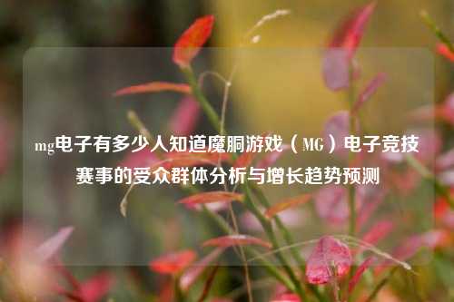 mg电子有多少人知道魔胴游戏（MG）电子竞技赛事的受众群体分析与增长趋势预测