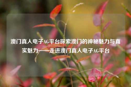 澳门真人电子AG平台探索澳门的神秘魅力与真实魅力——走进澳门真人电子AG平台