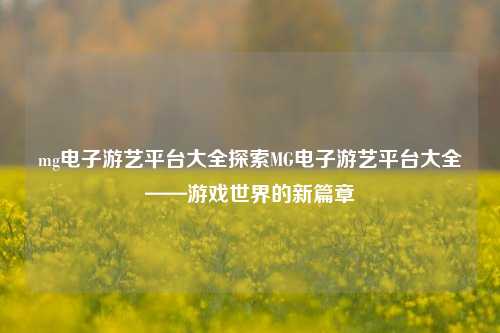 mg电子游艺平台大全探索MG电子游艺平台大全——游戏世界的新篇章