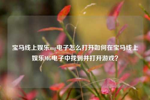 宝马线上娱乐mg电子怎么打开如何在宝马线上娱乐MG电子中找到并打开游戏？