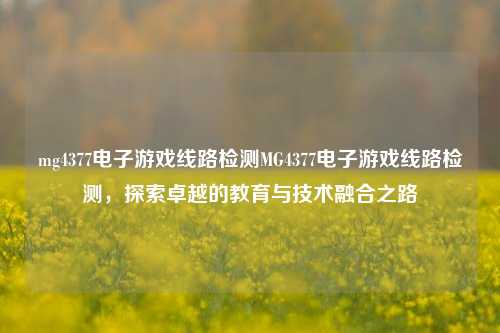 mg4377电子游戏线路检测MG4377电子游戏线路检测，探索卓越的教育与技术融合之路