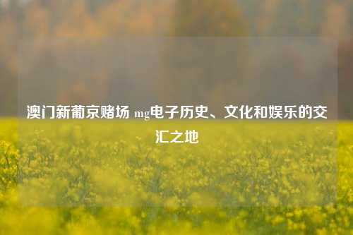 澳门新葡京赌场 mg电子历史、文化和娱乐的交汇之地